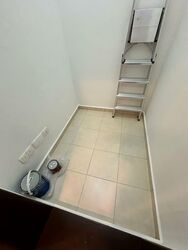 Cavan Suites (D8), Apartment #579253511